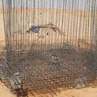 عمل حزانات الديري مسبح بياره وحق سم  مزراع واسترحا