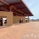 مقاول محطات وقود بترول