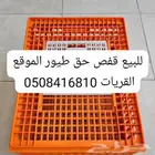 قفص حق طيور