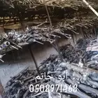 دودة دركسيون كهربائية