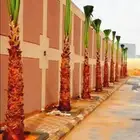 يوجد لدينا نخل واشنطني زينه امريكي بكل المقاسات وبسعار مناسب