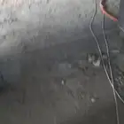الياسه تاكيس