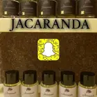 عرض على 3 عطور ..