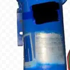 دينمو سمنان 2 حصان