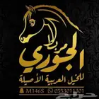 مربط الجوري للخيل العربيه الاصليله