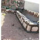 معلم حجر عادل البيحاني