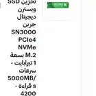 Western Digital 1TB WD Green SN3000 SSD NVME