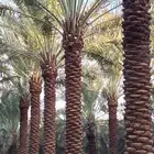 نوصل للبيت او الأستراحة