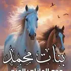 استديو احلام الطرب لتنفيذ الزفات والشيلات بالاسماء