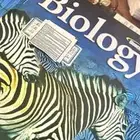 مدرس احياء بالانقليزي   Biology teacher
