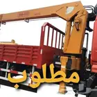 بوم ترك
