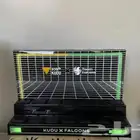 مطلوب بيت فالكون