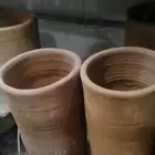 المدينة المنورة