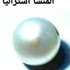 لؤلؤ أبيض طبيعي أستراليا
