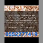 للبيع نشارة خشب للخيول والدواجن بحائل