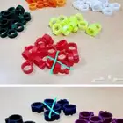 حجول بلاستيك مقاس 11 غير مرقم حجول دجاج بلدي