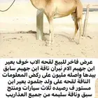 للبيع لقحه كفففوا