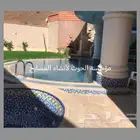 مسابح نوافير راقصة شلالات ساونا وبخار