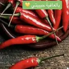 خلطات الأجبان وشطات متنوعة متوفرة PDF
