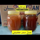 عسل سدر حضرمي