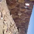 مقاول تلبيس.حجر تنومه حجر مسفرة حجر قلوه حجر طبيعي