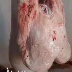 هرافي وتيوس وجذعان