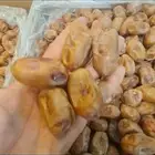 اخلاص وخضري