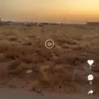 للبيع ارض في الربيعيه