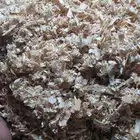 يوجد نشاره للدواجن والخيول عرض خاض للكميات تواصل