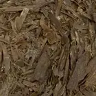 عود ماليزي سرواك ملكي.
