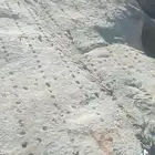 يوجد لدينا بكلين و كنبريش للقص الارضي لتخريم وتفتيت الصخور