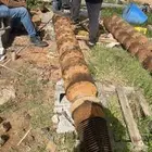 درفيل ناشونال