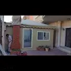 مجالس عربي