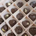 شكولاته بلجيكيه