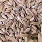 موجود 1طن عود مروكي محسن مستكه بسعر مناسب