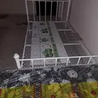 كراسي نفر ونص جديده مع الفرش حقها لازالت بااكياسها