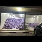 حطب مستورد فرصه