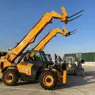 Telescopic crane for rent monthly daily Merloh crane