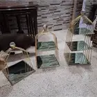 استاندات طقم كامل