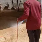 روش الغنم سوسا حشري فطري روش حوش غنم شبوق