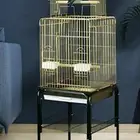 اقفاص طيور بادجي كروان روز كناري زبره كنيور كويكر