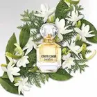 عطورات فرنسيه