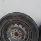 جنوط