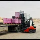 فوركلفت رافعات شوكيه كرينات ونش للايجار