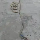 واير سحب