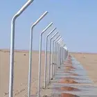 شبوكات ونخيل