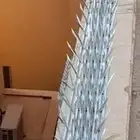 شركة مكافحة حمام وحشرات وتنظيف خزانات وتنظيف كنب
