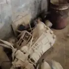 قطع غيار سوزو دينه باترول الدوادمي