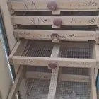 فقاسة بيض يدوية منتجة