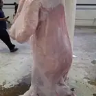 حري ثلاجة أو نعيمي جذع تمايم أو نذر أو صادقه